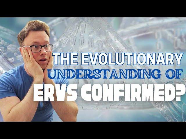 Has Jon Perry REALLY CONFIRMED the Evolutionary Understanding of ERVs? A Response (PART ONE)