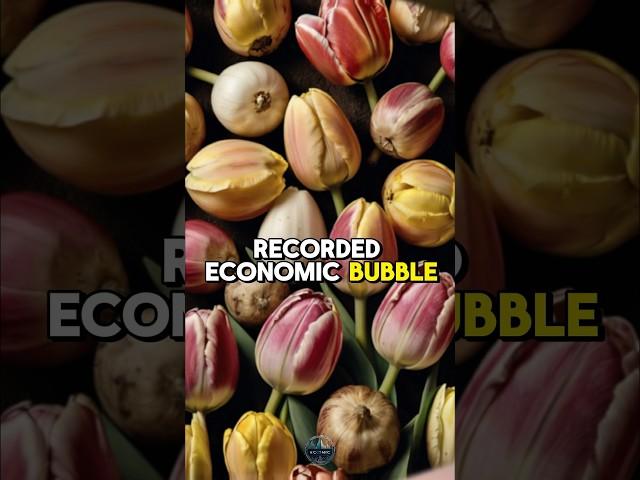 The First Economic Bubble: the collapse of tulip Mania 