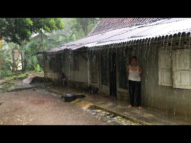 Heavy rain and strong wind in my village | Get rid of insomnia and fall asleep to the sound of rain