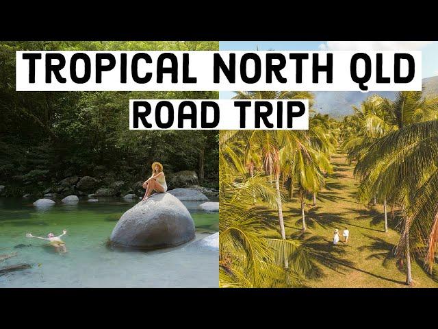 Cairns to Cape Tribulation Road Trip! Tropical North Queensland Travel Vlog