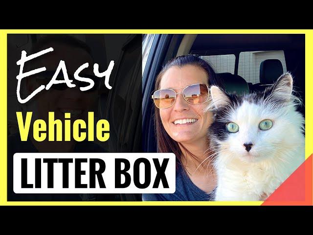 Purrfect Solution: Best Cat Litter Box for Your Vehicle