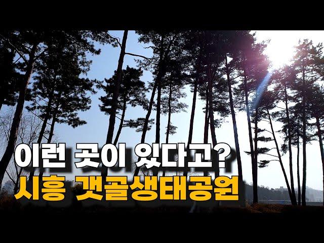 [시흥 여행] 갯골생태공원에 혼자 다녀왔어요 / 시흥시 가볼만한 곳 추천