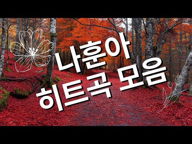 나훈아 히트곡 모음 || 나훈아의 역대 최고의 노래 모음