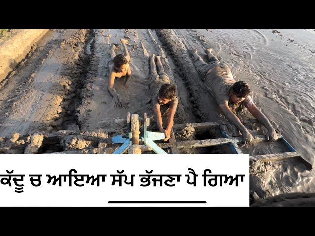 ਕੱਦੂ ਚ ਖੇਲਦੇ ਆਇਆ ਸੱਪ ਦੇਖੋ ਕਿੰਨਾ ਖ਼ਤਰਨਾਕ3630 Tractor