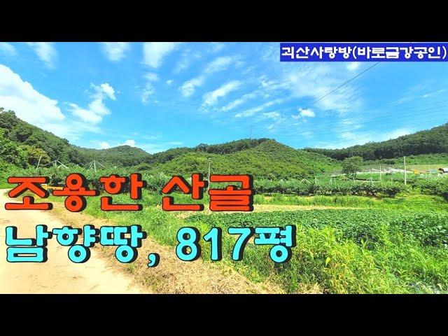 311. 괴산군 불정면. 조용한 산골 남향 복숭아밭. 817평. 지하수 전기 有. 괴산사랑방, 괴산부동산, 괴산토지, 괴산전원주택지, 괴산농막용지, 괴산땅, 바로금강공인.