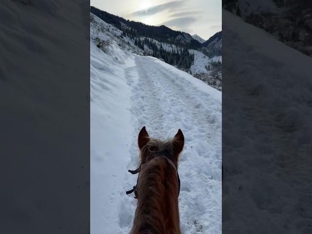 Beautiful destinations | Kazakhstan | horse riding | Kaindy lake #imaginedragons #travel