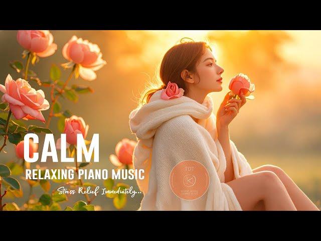 RELAXING PIANO MUSIC | 1 Hour Calm And Stress Relief Immediately | THIEN AN TDT