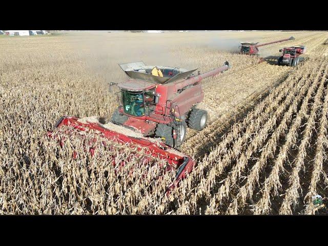 Corn Harvest 2024 with Dick Lavy Farms