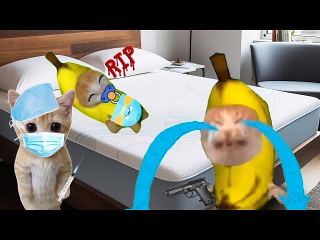 BANANA CAT  HAPPY AND  CRY ( 10 MINUTES ) VIDEOS 45 #catmemes #cat #bananacat #happycats #fyp