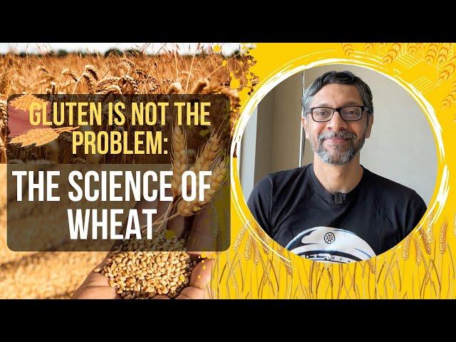 Gluten is Not the Problem: The Science of Wheat