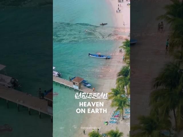 Exploring the sun-kissed, vibrant heart of the Caribbean #shorts #caribbean #summer #travel