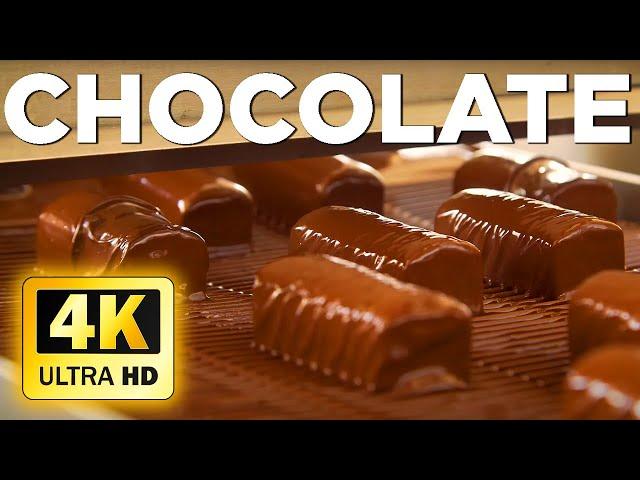 Chocolate - 4K Relaxation Film | Chocolate Factory - Sweet Production Lines