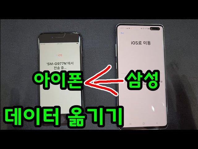 삼성에서 아이폰으로 스마트폰 데이터 옮기기 핸드폰 정보 백업 1분이면 끝!