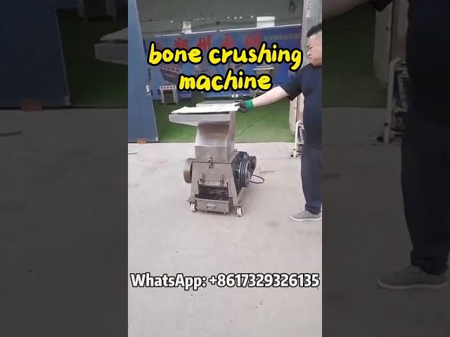 Industrial Bone Crushing Machine | High Output & Fine Powder #bones #crushing #foodprocessing