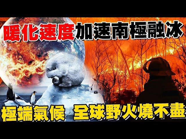 地球暖化 速度加速 南極融冰 極端氣候 全球野火燒不盡 海冰面積退縮創新低紀錄 衝擊企鵝生存【專題報導】健康2.0 @tvbshealth20