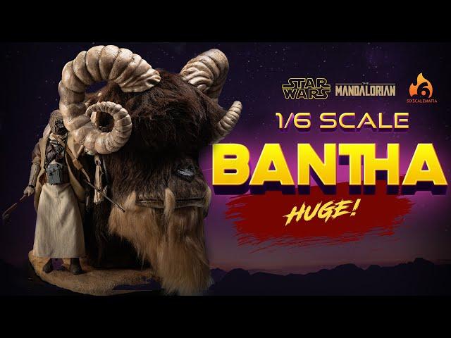 Inbox Studios | 1/6 Bantha | Unboxing and Review | 4K | 60FPS | Star Wars