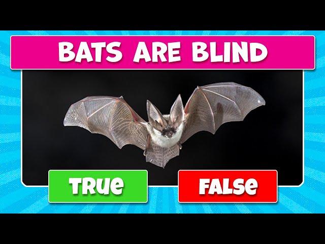 TRUE or FALSE Quiz - Animals True or False Quiz - Animals Knowledge Trivia Questions | PARTY GAMES