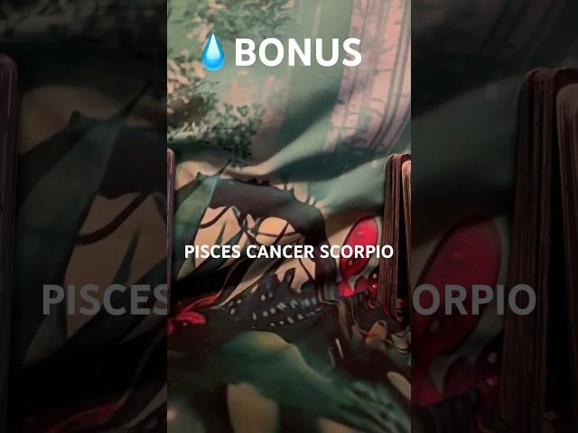 BONUS!#shorts#viralvideo#trending