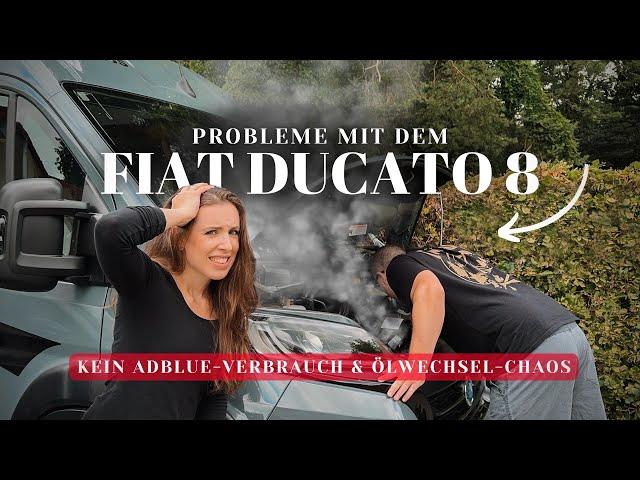 7 MAL in der WERKSTATT  & ein WICHTIGER TIPP 🫵 | FIAT DUCATO 8