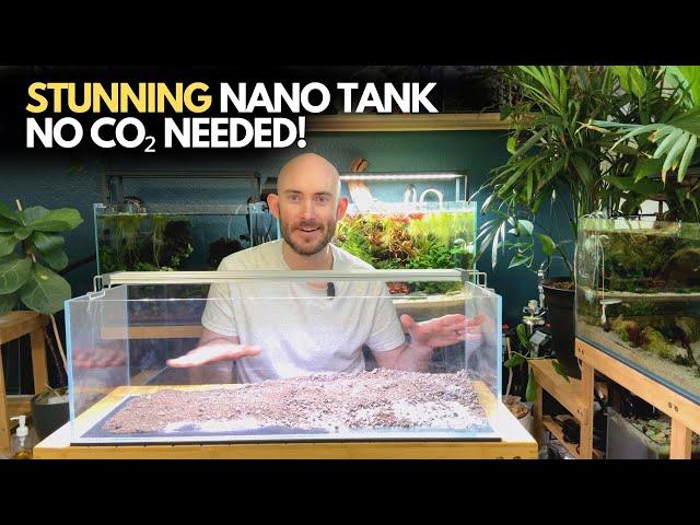 Discover the SECRET to a Thriving Nano Aquascape with Low-Tech!