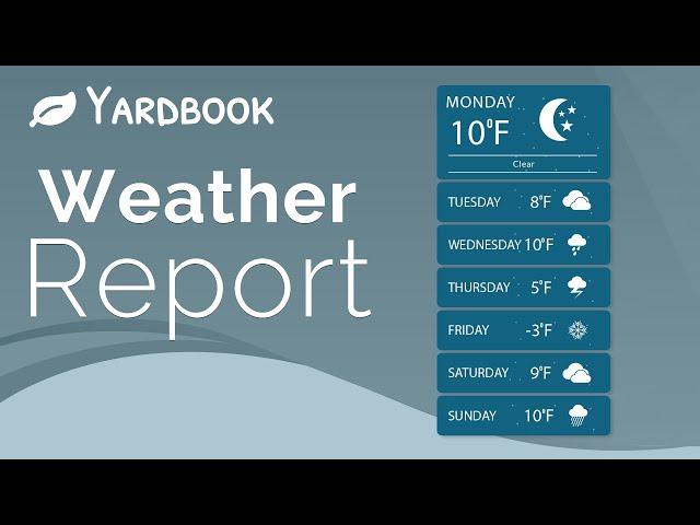 Hourly Weather and Forecast Data