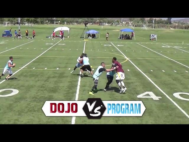 Dojo vs Program