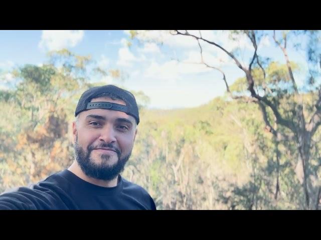 City View Lookout Trail  | LANE COVE NATIONAL PARK, NSW | (Sort of) Family Friendly Hiking