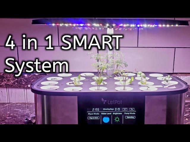 LetPot 4 In 1 SMART Hydroponic System Review