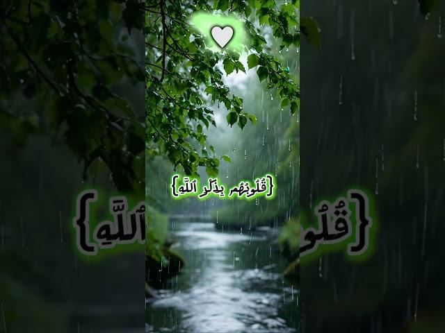 الا بذكر الله تطمئن القلوب(اكتب شيء تؤجر عليه️#quran )