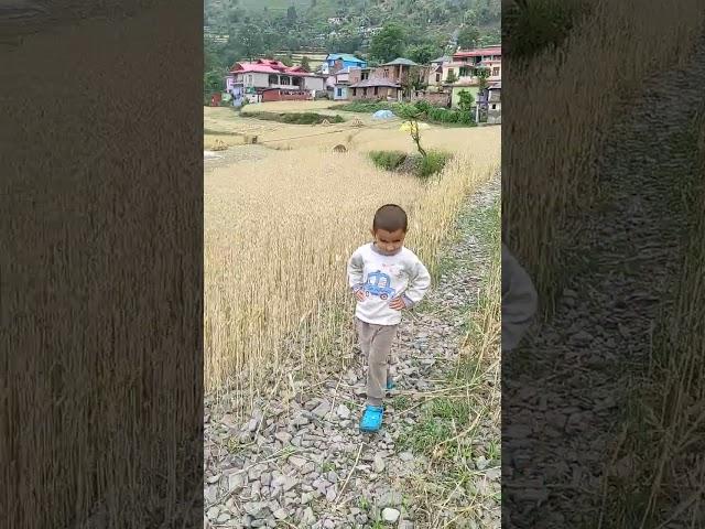Dhantara Bajda Ho #ishantbhardwaj #himachali #pahadi #song #youtubeshorts #lovingvibes #trending