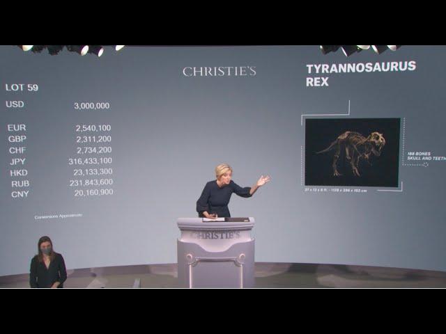 T. rex STAN | King of Dinosaurs sells at Christie’s