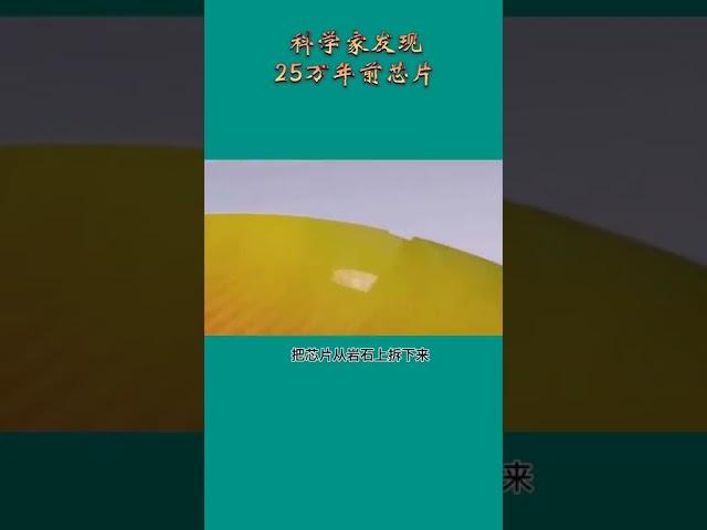 #奇闻异事#奇闻趣事#世界未解之谜#未解之谜#世界奇闻异事科学家发现25万年前芯片。