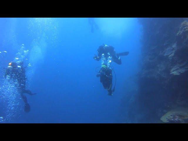 2019년8월 #DIVE HOLIC #다이브홀릭 #보홀다이빙투어 2일차 #필리핀 #보홀 #발리카삭 #돌조비치에서