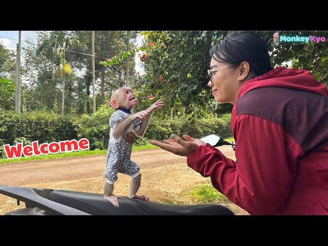 Monkey Kyo’s Heartbreaking Moment – Why Can’t Ms. Ngan Get Into the House?