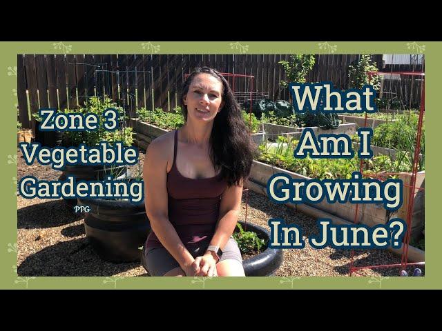 June Vegetable Garden Tour