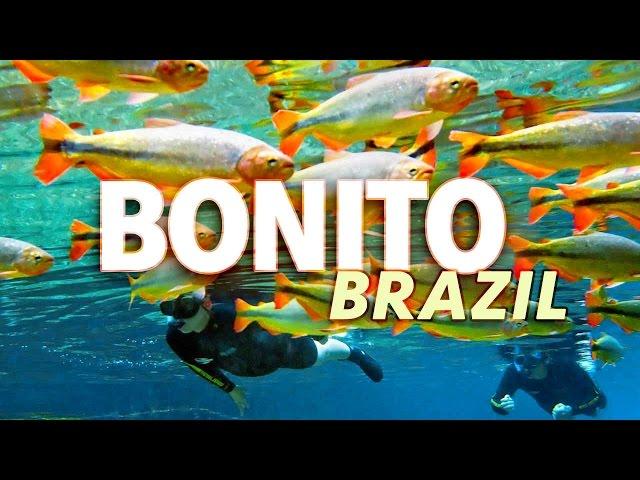 Top Ecotourism Destination: Bonito, Mato Grosso Do Sul State, Brazil