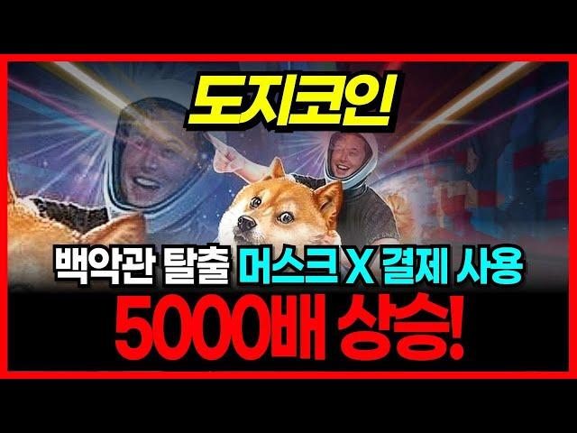 [도지코인 DOGE] 백악관에서 탈출한 일론 머스크 도지코인을 X 결제로 쓴다! 직접 발표! 5000배 상승!