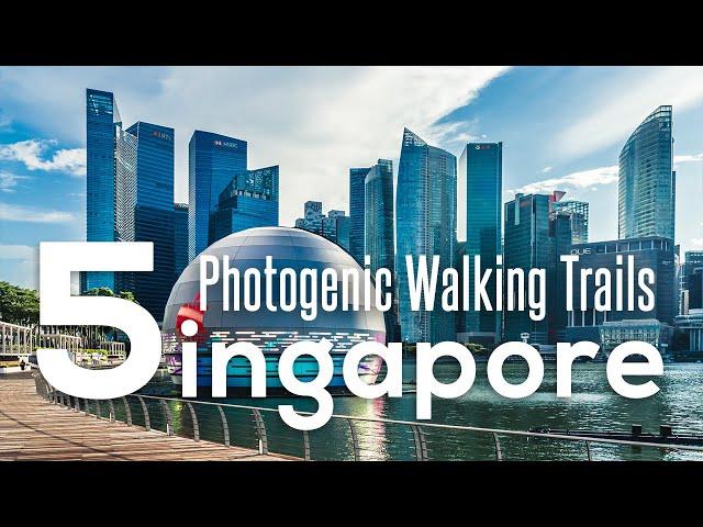 5 Photogenic Walking Trails to Rediscover Singapore in 2021