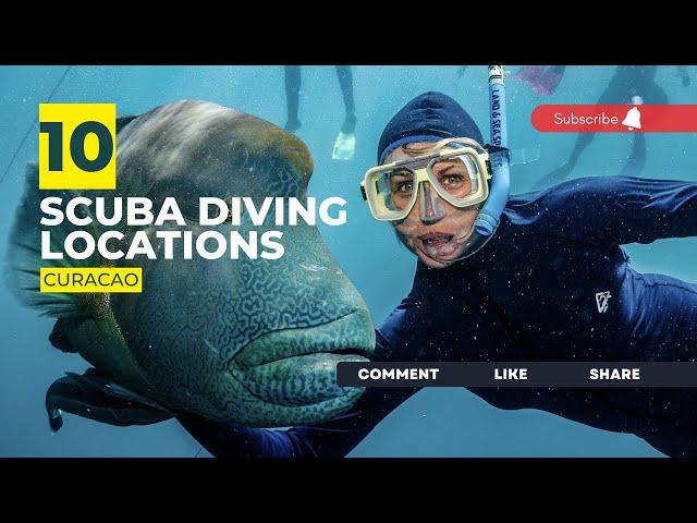 [2023] Curacao Dive Sites That Will Blow Your Mind: Our Top 10 Scuba Diving Locations