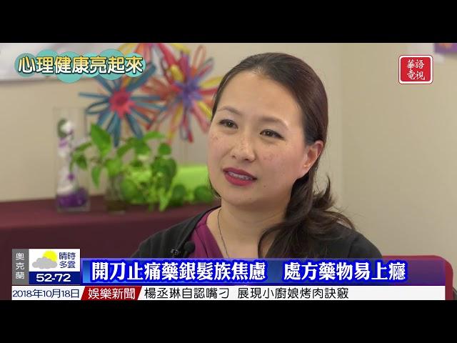 Sino TV Segment (Aired 10/18/2018): Substance Abuse Treatment