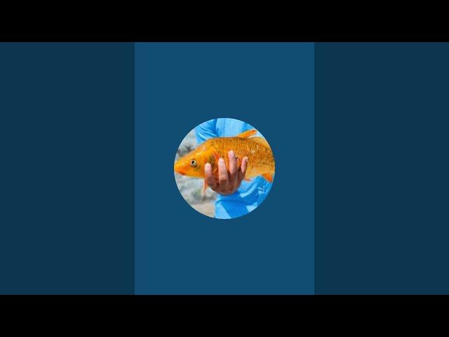 Cutting & Fishing withFM is live