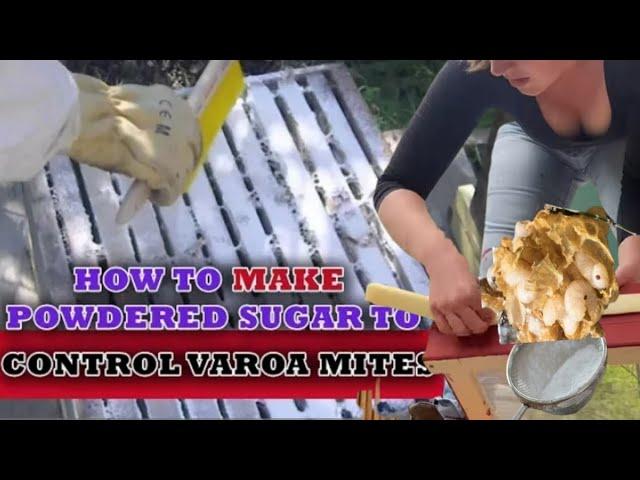 Treating a hive with powder sugar for Varroa Mite (Destructor)