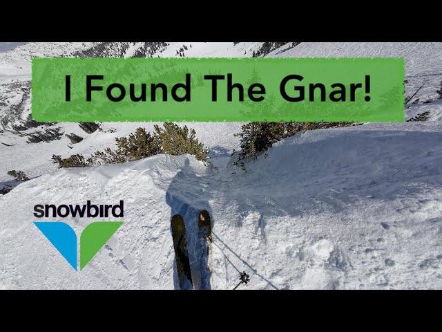 Snowbird | Cirque Series Guide - Skier POV from the Ridge | 525" of Snowfall