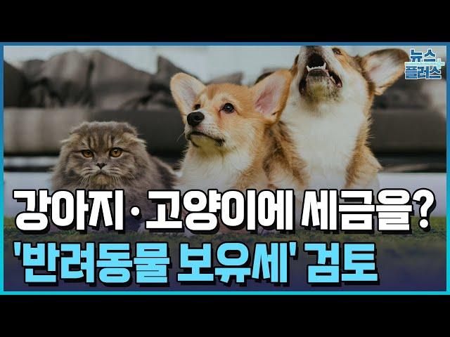 "개·고양이 키우면 세금 내라"…'반려동물 보유세' 검토/[+PICK]/한국경제TV뉴스