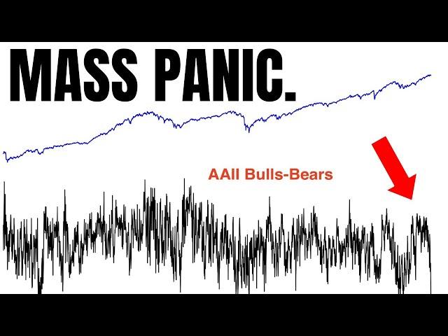 We Have Never Seen Anything Like This...