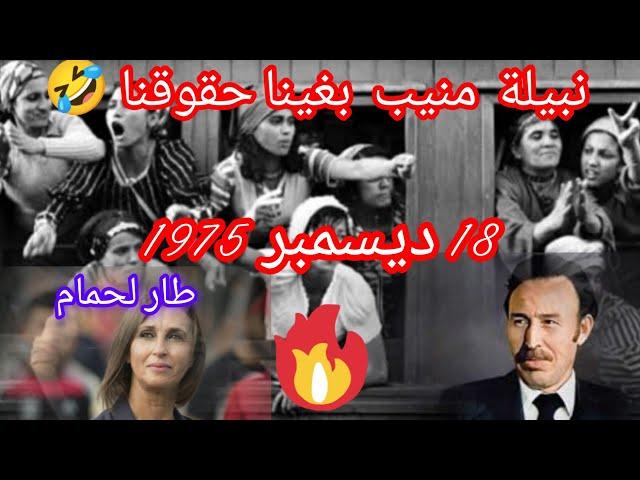 ميلود أكشن...يقصف "نبيلة مونيب" السنغولية   بغينا حقوقنا واملاكنا / النصب والاحتيال 