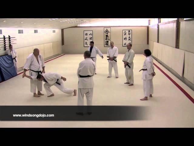 Aikido: Effortless Power with Nick Lowry, Part 1