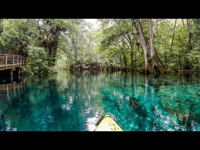 Don't Miss Kayaking in Iconic Silver Springs