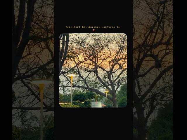 RANJHEYA VE - Zain Zohaib | Ig : cine.naaz | Qawwali | #shayari #trending#shorts #viral #romantic