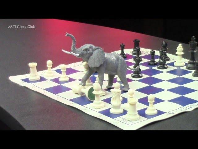 Opening Traps #1: Elephant Trap with Jonathan Schrantz